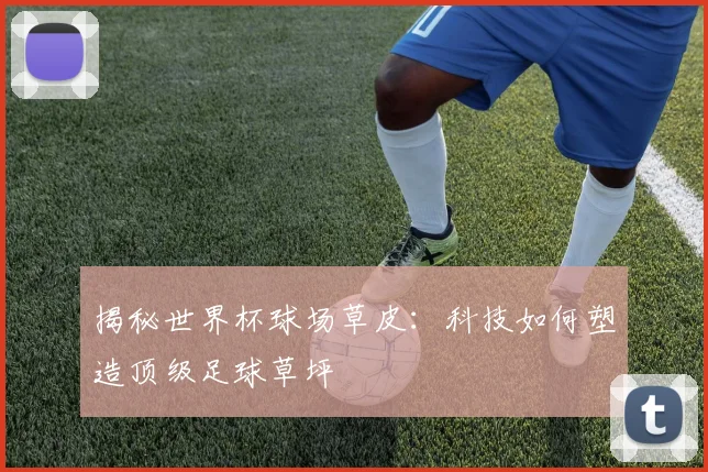 揭秘世界杯球场草皮:科技如何塑造顶级足球草坪