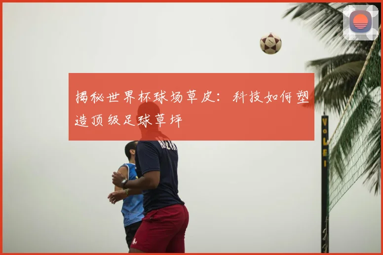 揭秘世界杯球场草皮:科技如何塑造顶级足球草坪