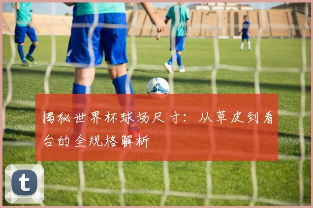 揭秘世界杯球场尺寸:从草皮到看台的全规格解析
