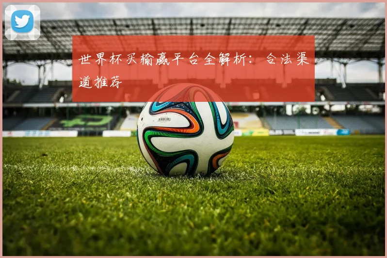世界杯买输赢平台全解析：合法渠道推荐